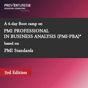 PMI-PBA Training